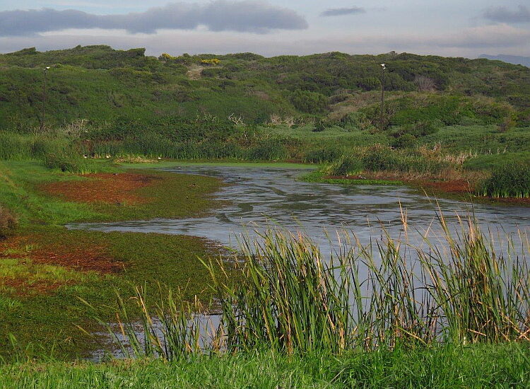 cbc cwac mitchells plain 02 SF july 2022