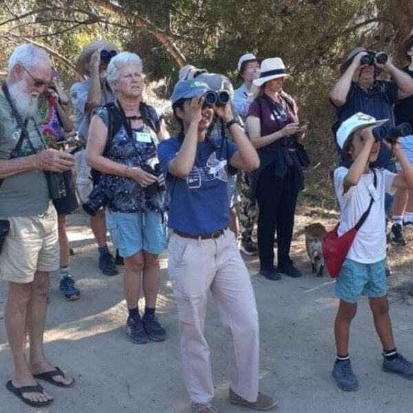 Outing to Mamre and surrounds, 21 February 2026.    Led by Zoe Lunau-Johns.