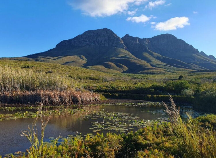 cbc outing helderberg nr 05 HH 25 april 2026