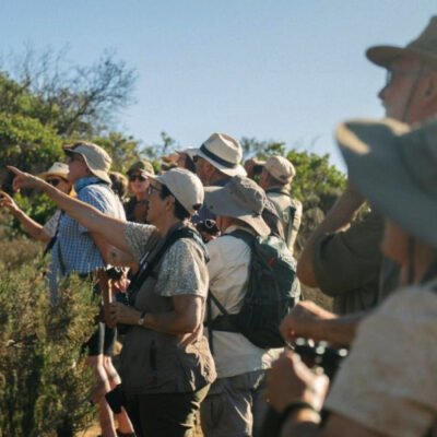 Outing to the Tygerberg Nature Reserve – 07 April 2026. Led by Keith Roxburgh.