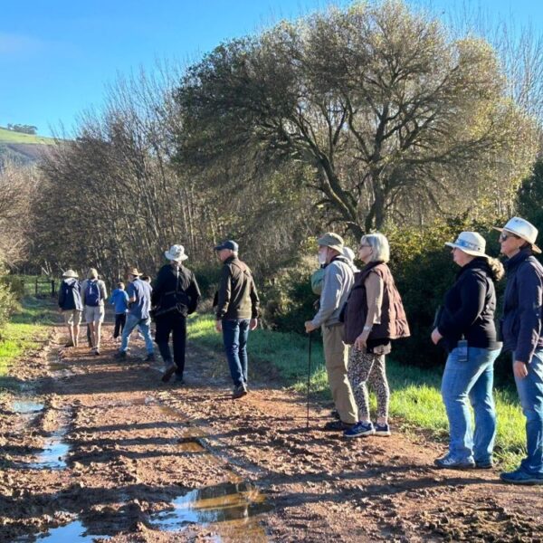 Outing to Altydgedacht Wine Estate, 23 May 2026. Led by Kevin Drummond-Hey.