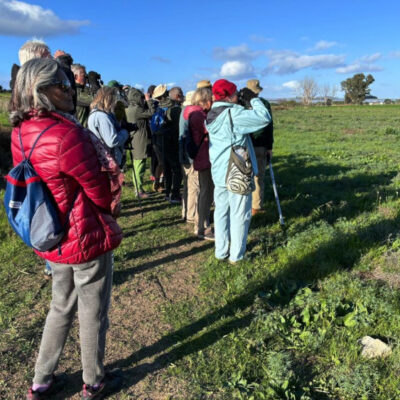 Outing to Spier Wine Estate, Stellenbosch,  04 June 2025 – Led by John Magner.